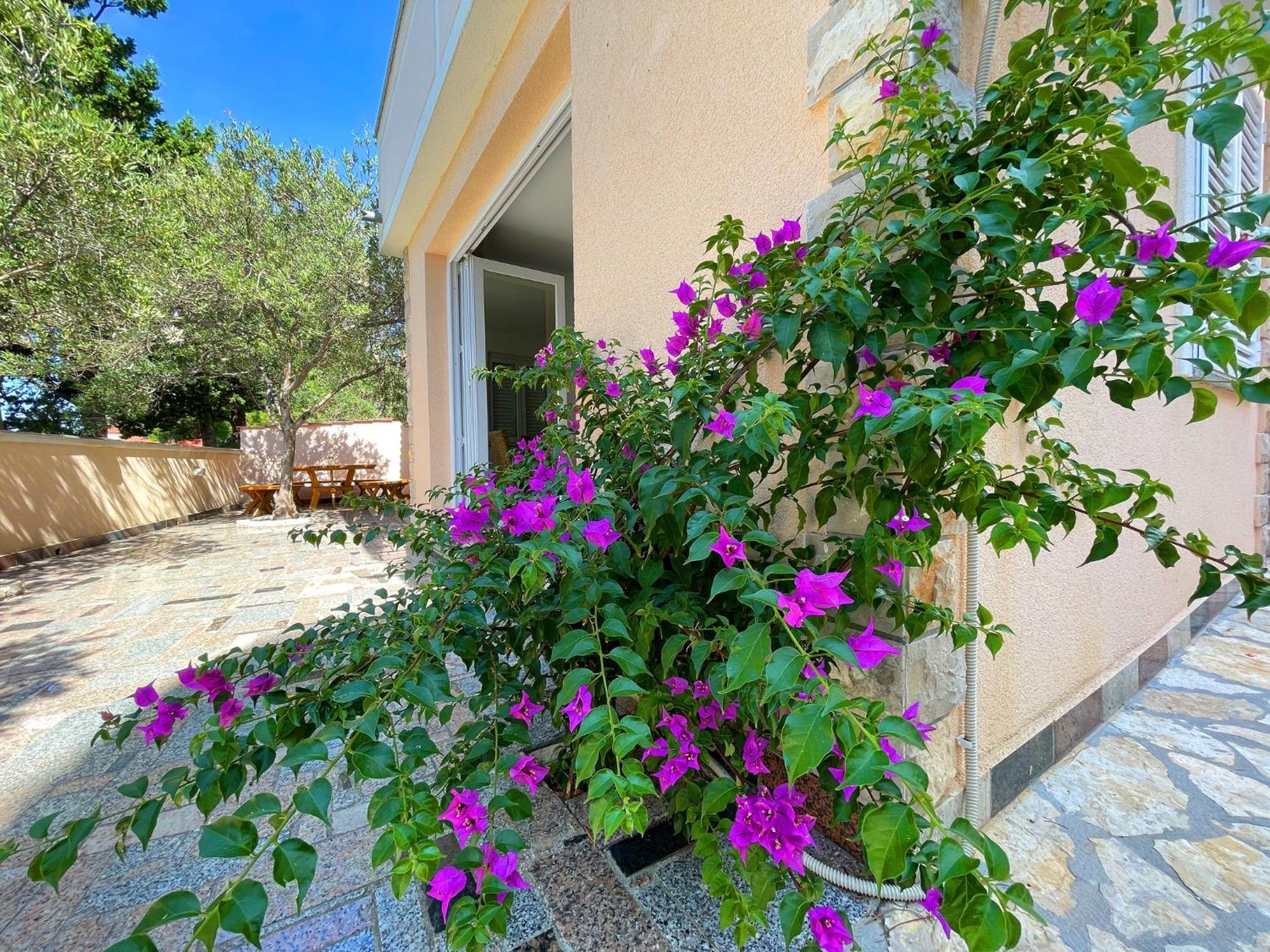 Villa Olivija-Direkt Am Strand! Stara Novalja Extérieur photo
